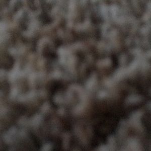 Meet your Posher, Brett